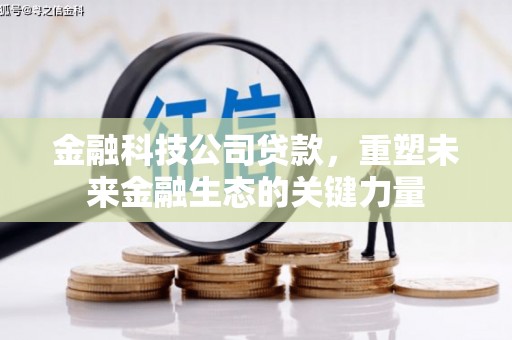 西海岸金融科技公司贷款，重塑未来金融生态的关键力量