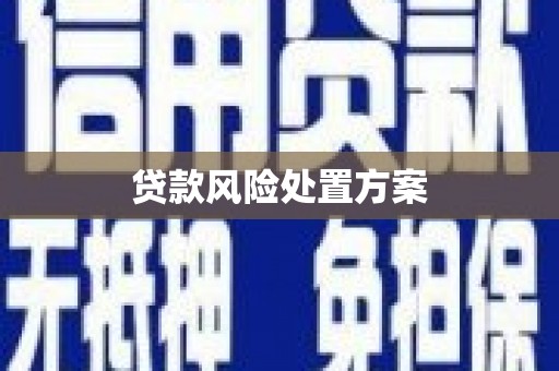 金沙贷款风险处置方案