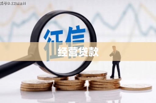 水里经营贷款
