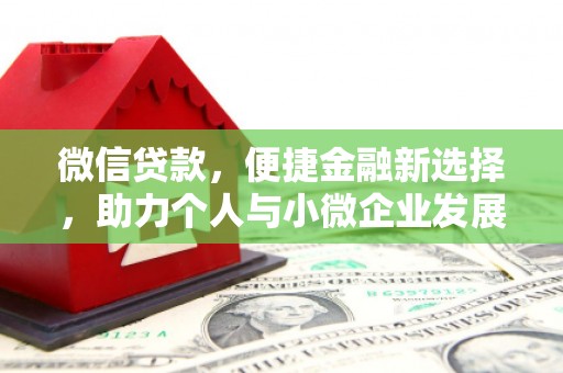保亭微信贷款，便捷金融新选择，助力个人与小微企业发展