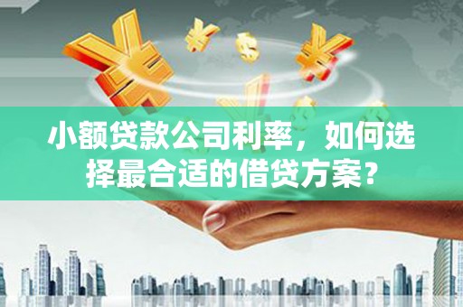 宁远小额贷款公司利率，如何选择最合适的借贷方案？