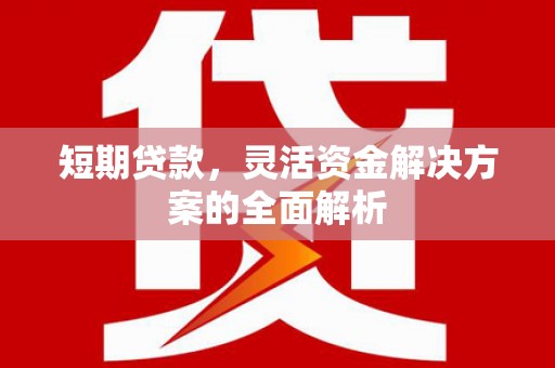 赣榆短期贷款，灵活资金解决方案的全面解析