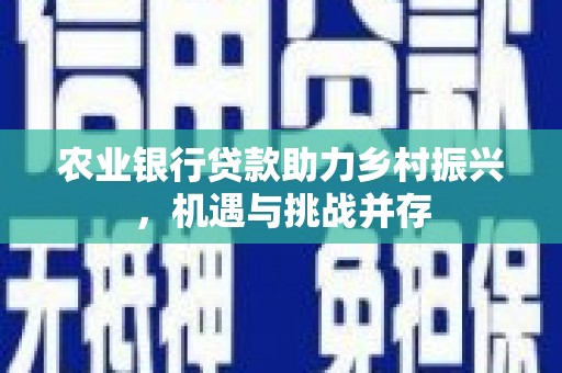 元谋农业银行贷款助力乡村振兴，机遇与挑战并存