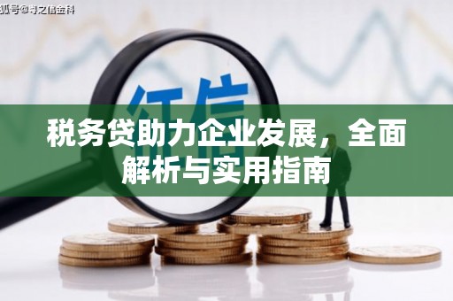 大兴安岭税务贷助力企业发展，全面解析与实用指南