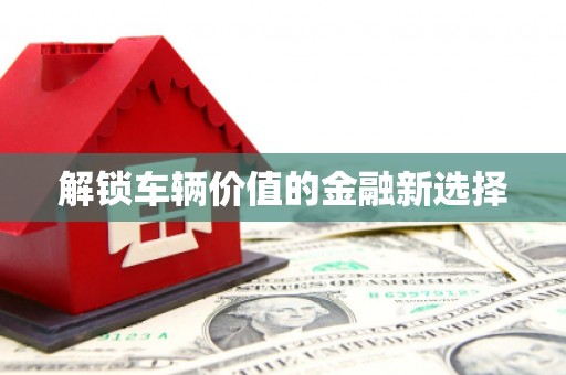 阿克陶解锁车辆价值的金融新选择
