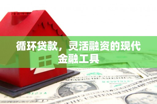 阜阳循环贷款，灵活融资的现代金融工具