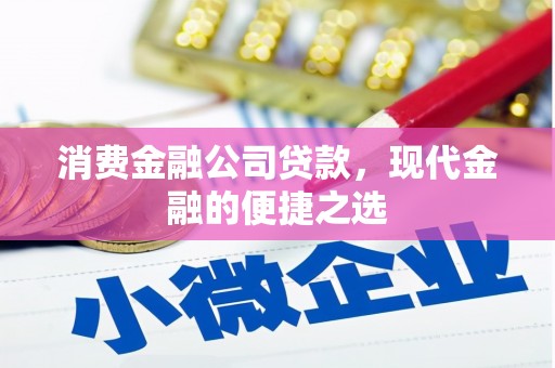 尼勒克消费金融公司贷款，现代金融的便捷之选