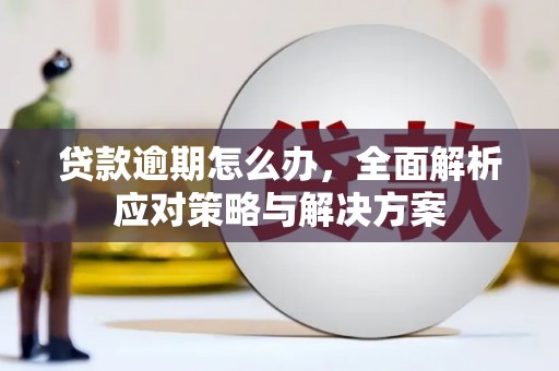 荔浦贷款逾期怎么办，全面解析应对策略与解决方案