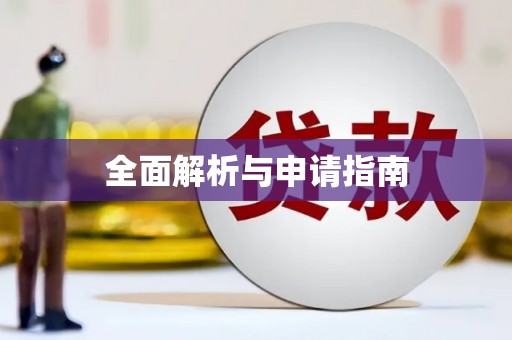 洋县全面解析与申请指南