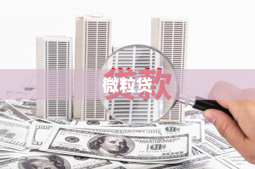华阴微粒贷