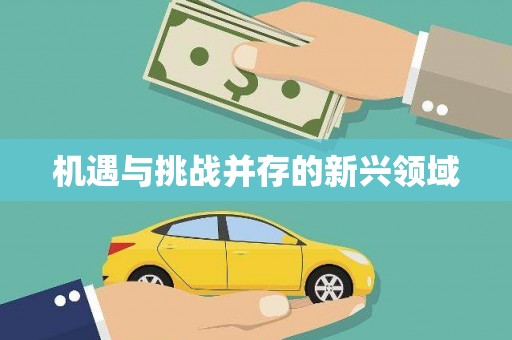 江源机遇与挑战并存的新兴领域