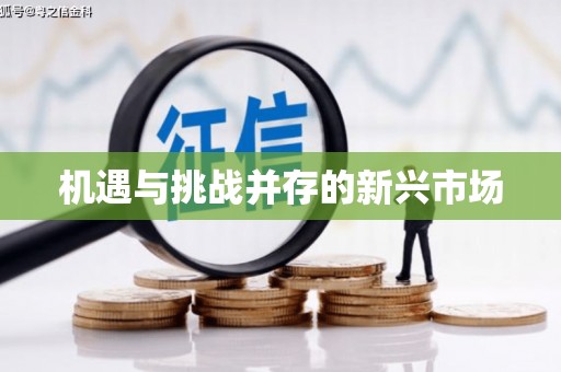 曲江机遇与挑战并存的新兴市场