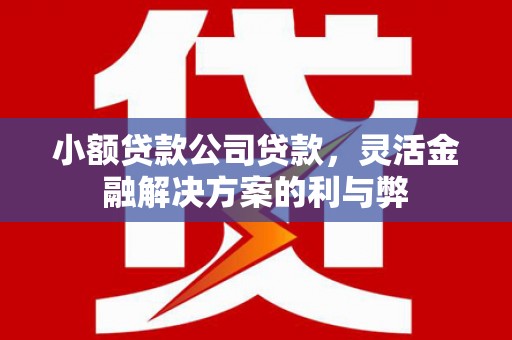 外埔小额贷款公司贷款，灵活金融解决方案的利与弊