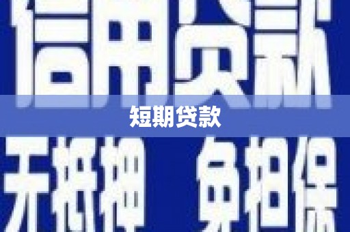 柳东短期贷款